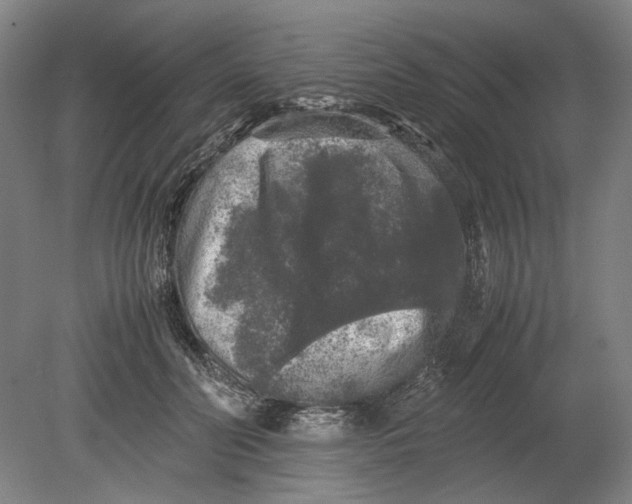 X0000080680606200701051036