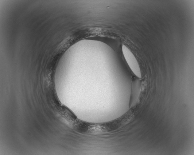 X0000080680611200701051036