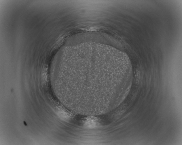 X0000080680612200701051036