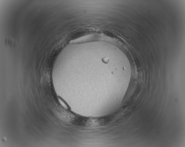 X0000080680613200701051036