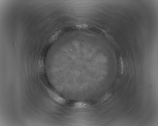 X0000080680614200701051036