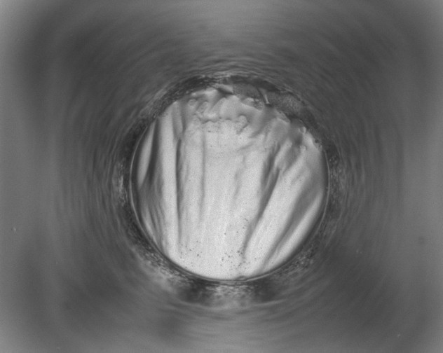 X0000080680615200701051036