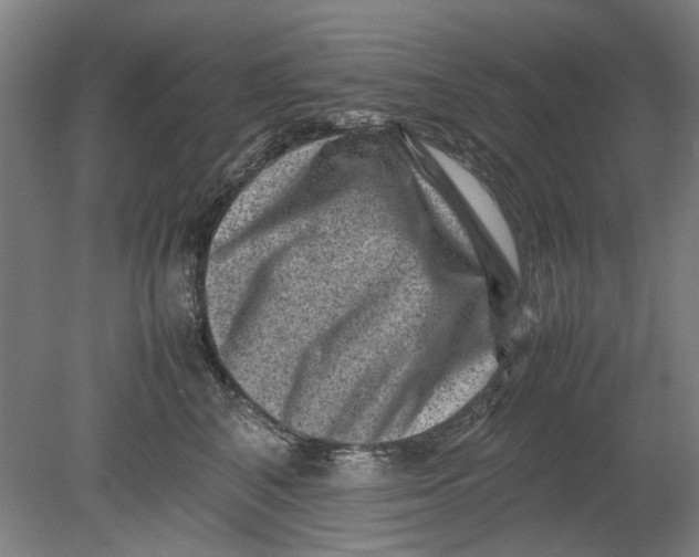 X0000080680616200701051036