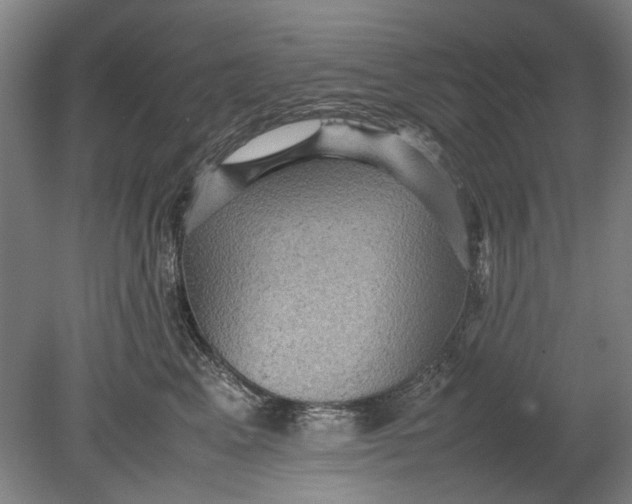 X0000080680617200701051036