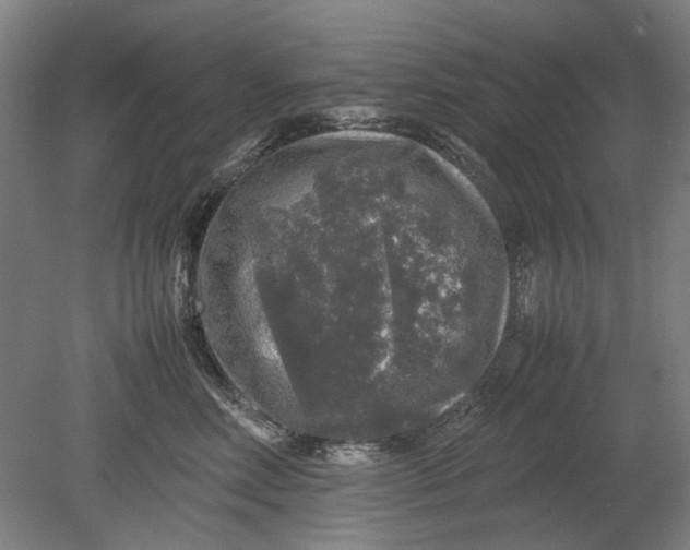 X0000080680618200701051036