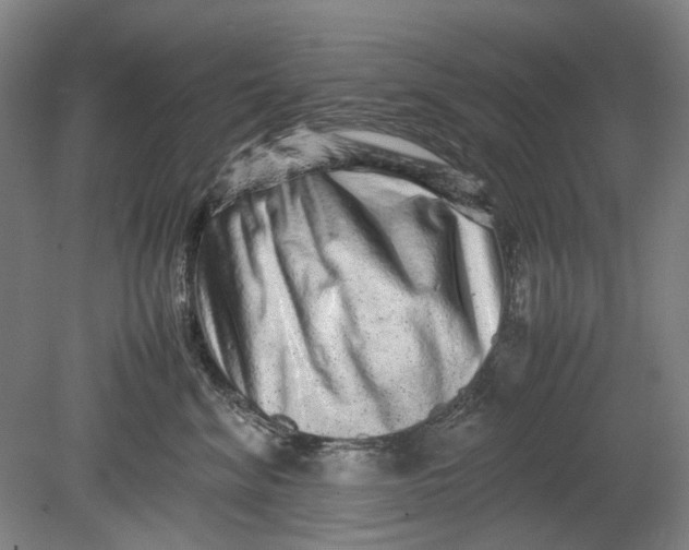 X0000080680620200701051036