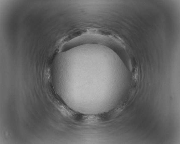 X0000080680621200701051036