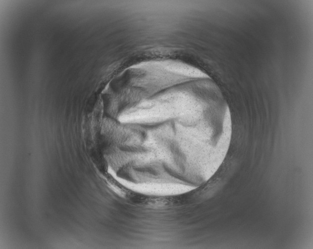 X0000080680624200701051036