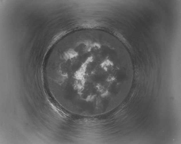 X0000080680626200701051035