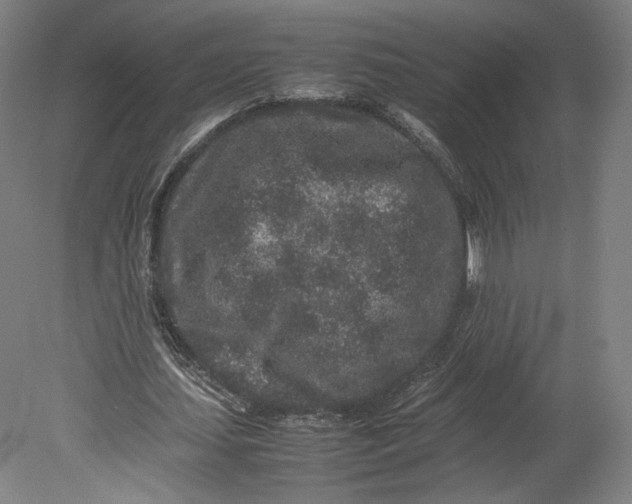 X0000080680627200701051035