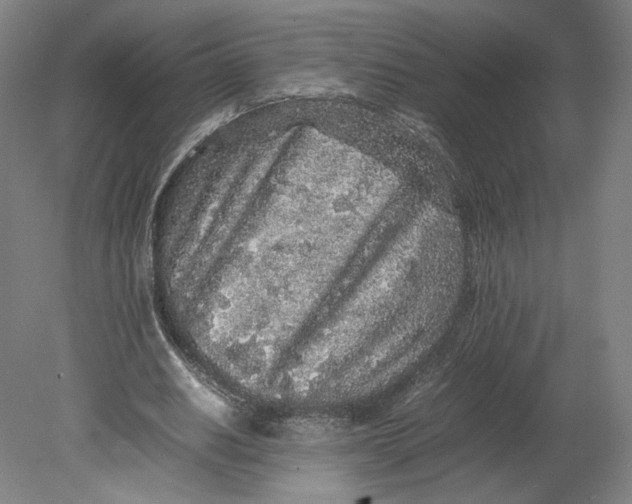 X0000080680630200701051035