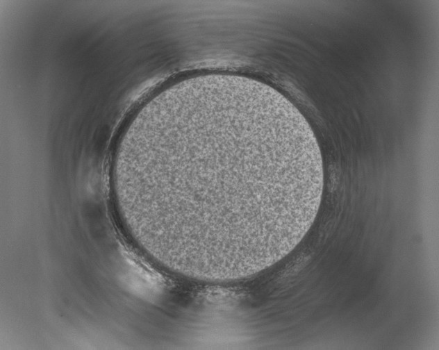 X0000080680632200701051035