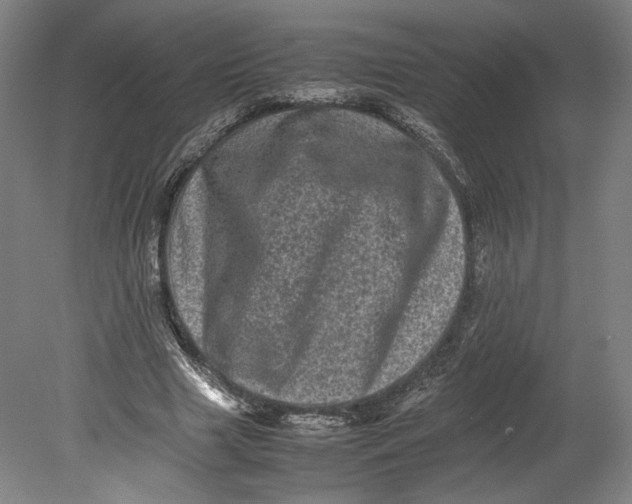 X0000080680633200701051035