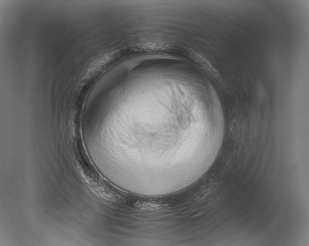 X0000080680635200701051035