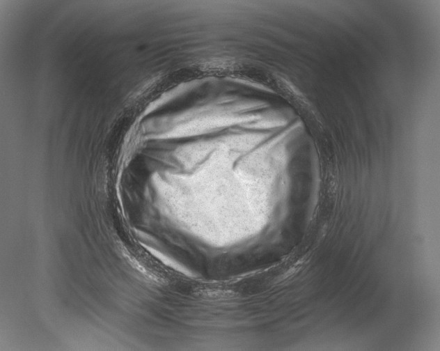 X0000080680637200701051035