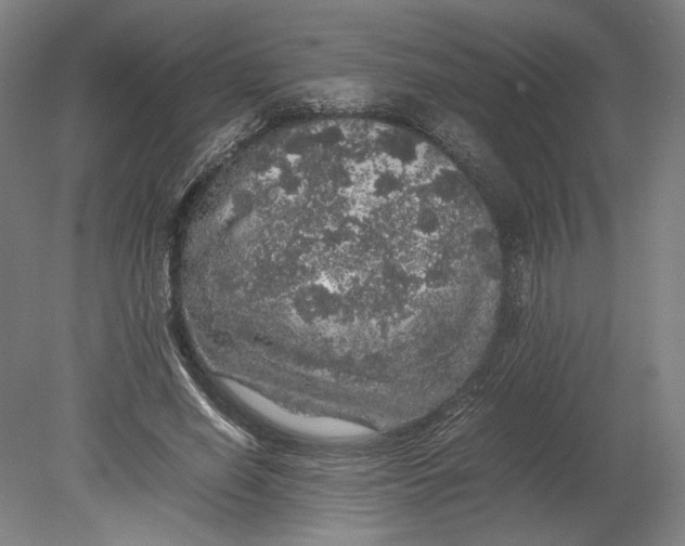 X0000080680638200701051035