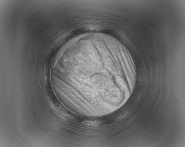 X0000080680639200701051035