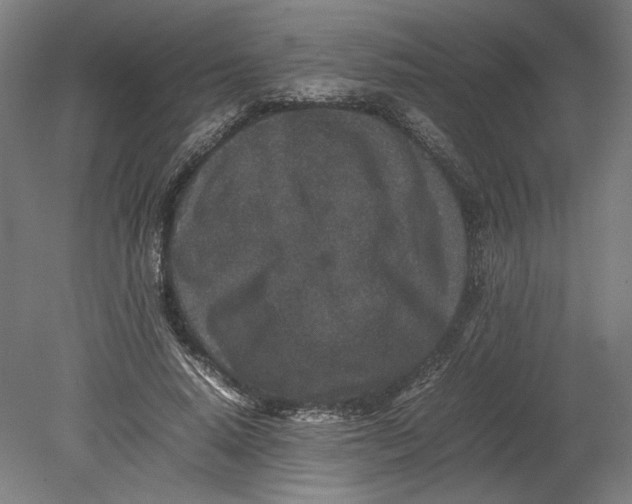 X0000080680640200701051035