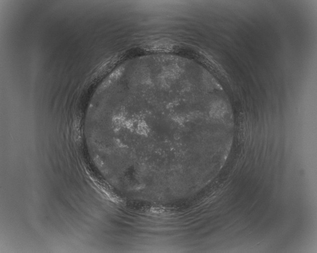 X0000080680641200701051035