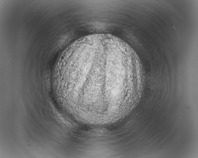 X0000080680642200701051035