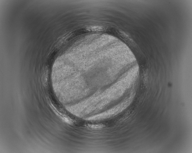 X0000080680645200701051035