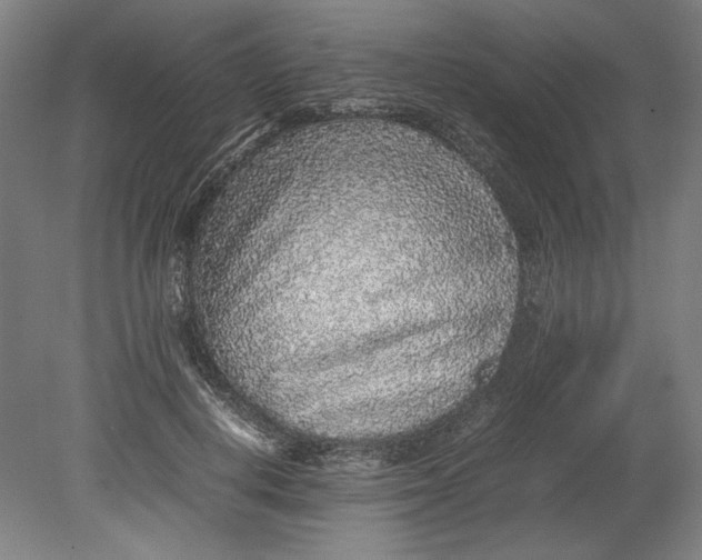 X0000080680648200701051035