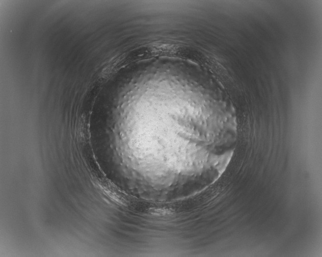 X0000080680649200701051035