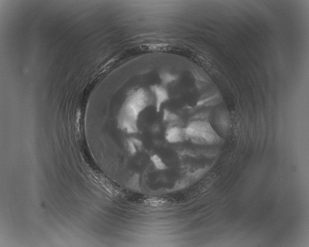 X0000080680650200701051035