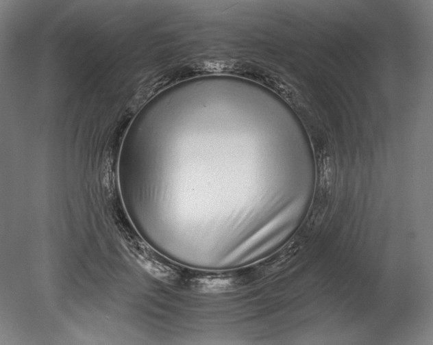 X0000080680651200701051035