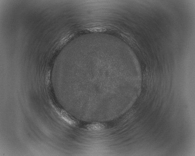 X0000080680652200701051035