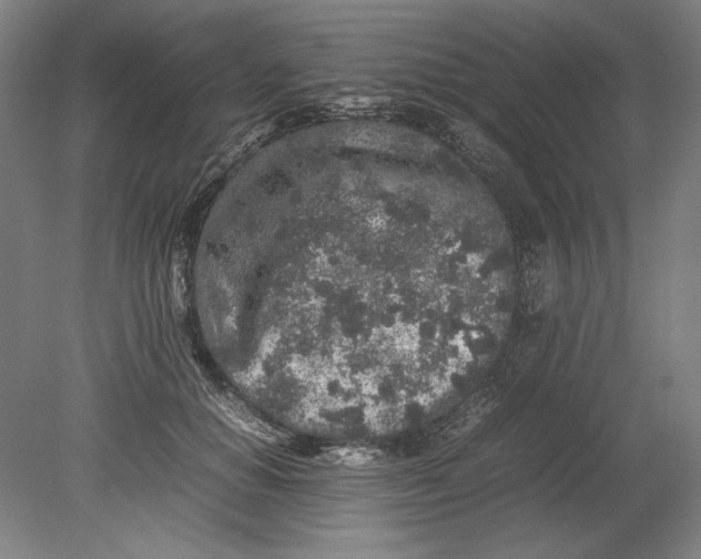 X0000080680654200701051035