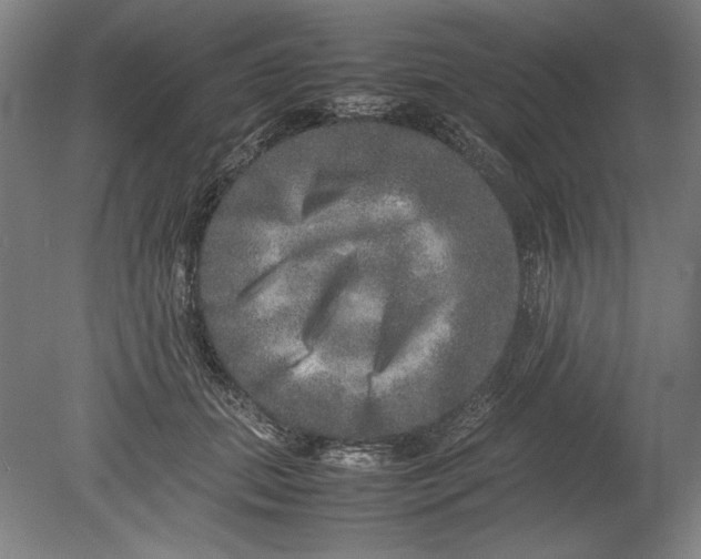 X0000080680655200701051035