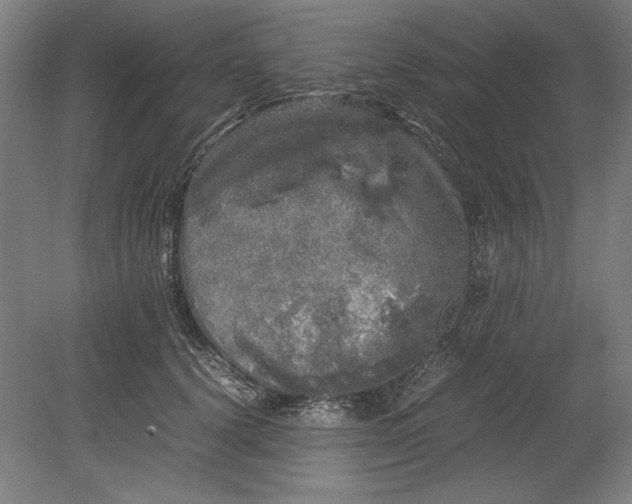 X0000080680656200701051035