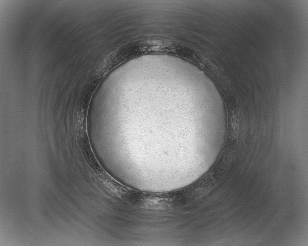 X0000080680657200701051035