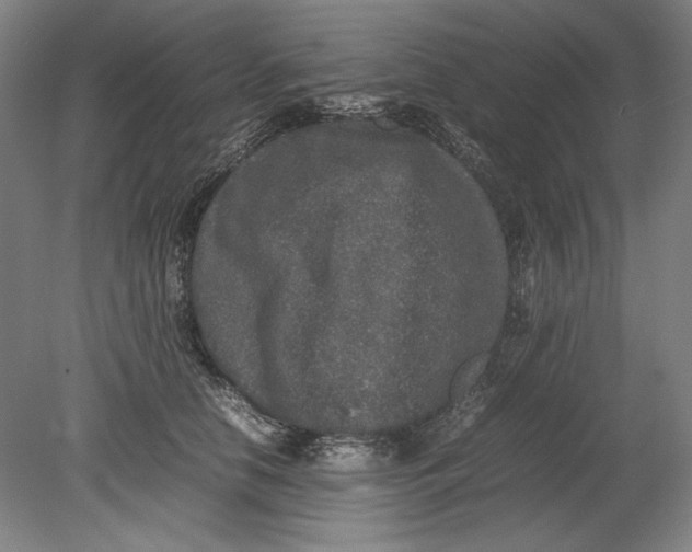 X0000080680658200701051035