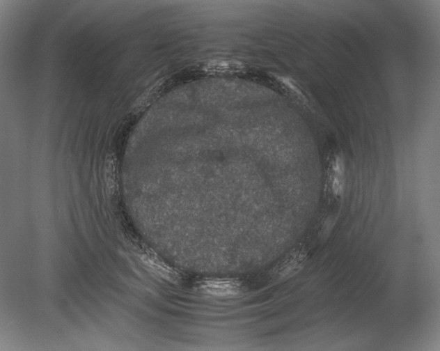 X0000080680659200701051035