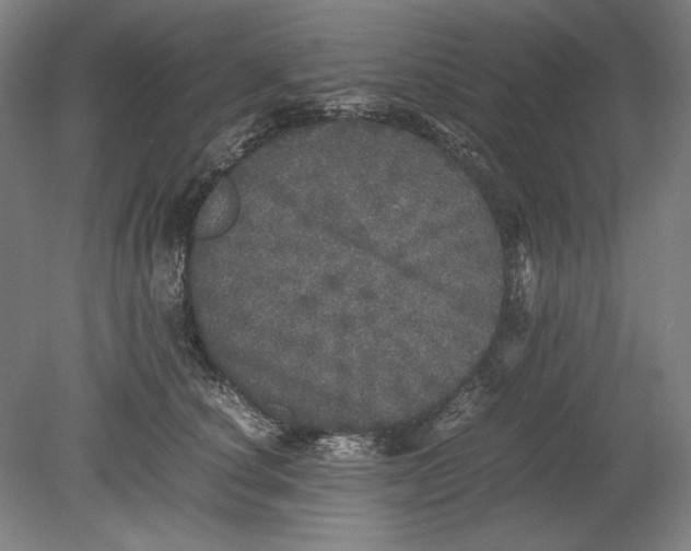 X0000080680660200701051035