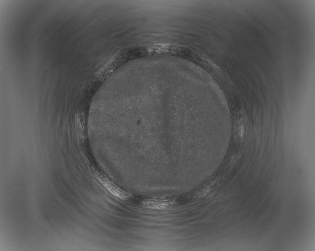 X0000080680661200701051035