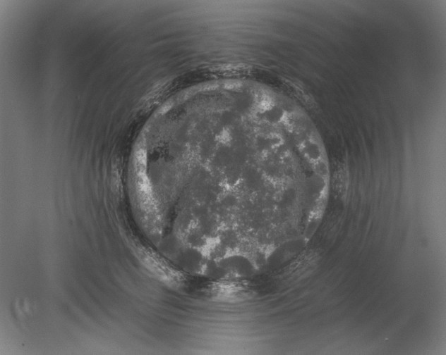 X0000080680662200701051035