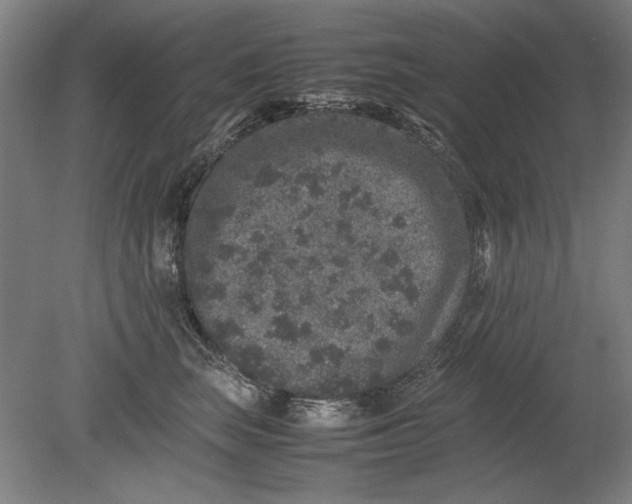 X0000080680663200701051035