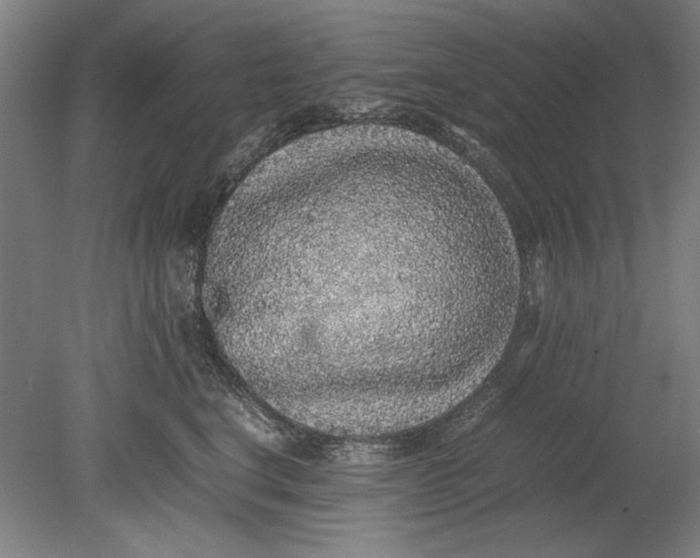 X0000080680664200701051035