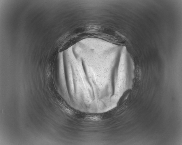 X0000080680665200701051036