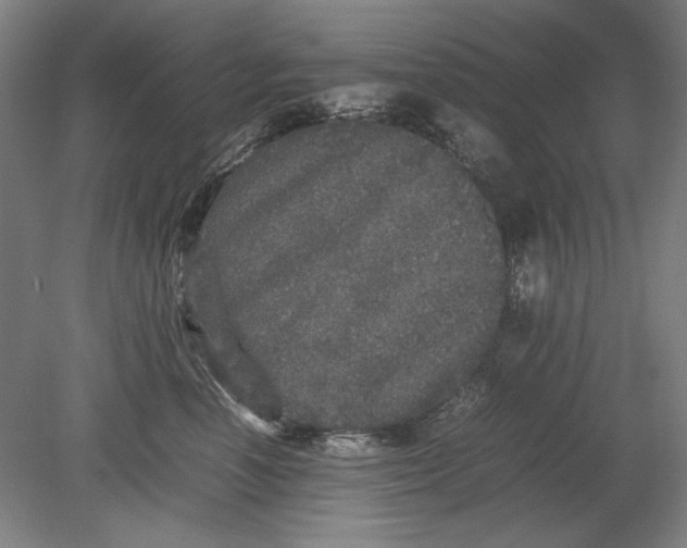 X0000080680666200701051036