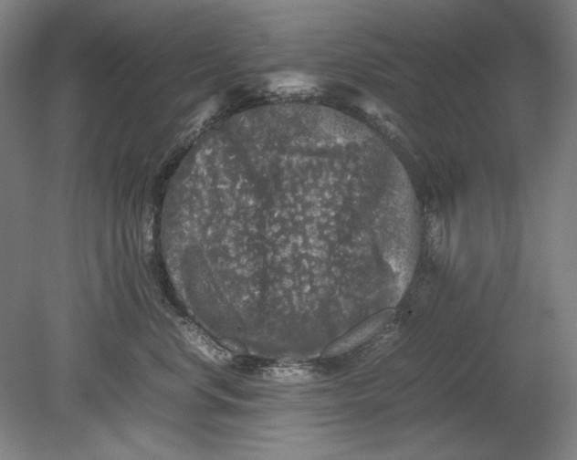 X0000080680668200701051036