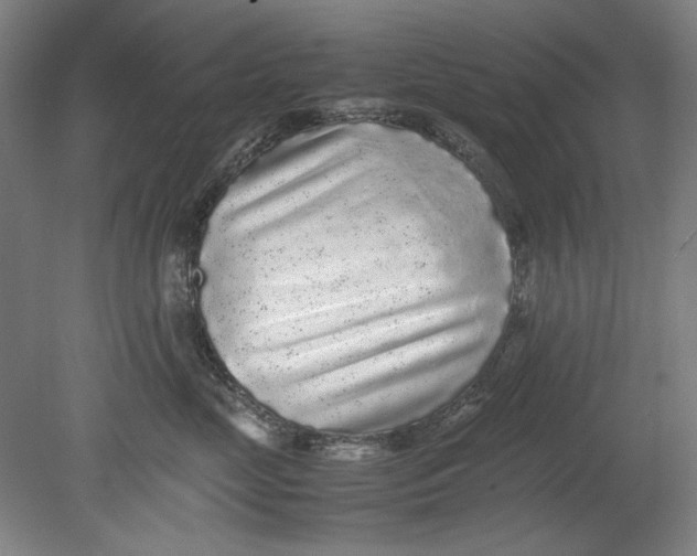 X0000080680669200701051036