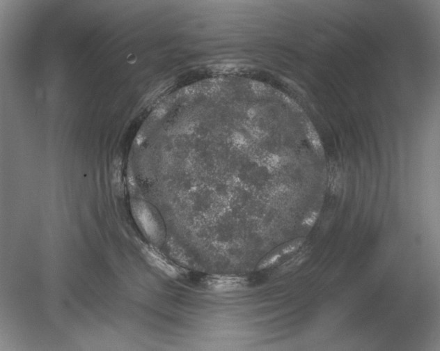 X0000080680670200701051036