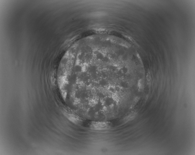 X0000080680671200701051036