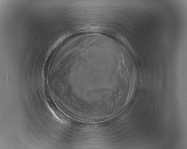 X0000080680674200701051035