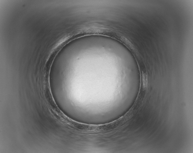 X0000080680675200701051035