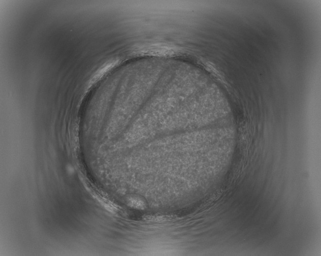 X0000080680679200701051035